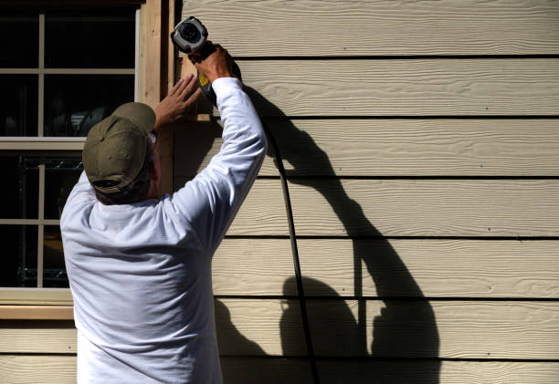 Affordable Siding Repair and Maintenance Services in Douglas, MI